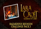 Lara Croft and the Guardian of Light: Hazardous Reunion - Challenge Pack 3 DLC Steam CD Key