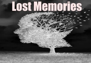 Lost Memories Steam CD Key