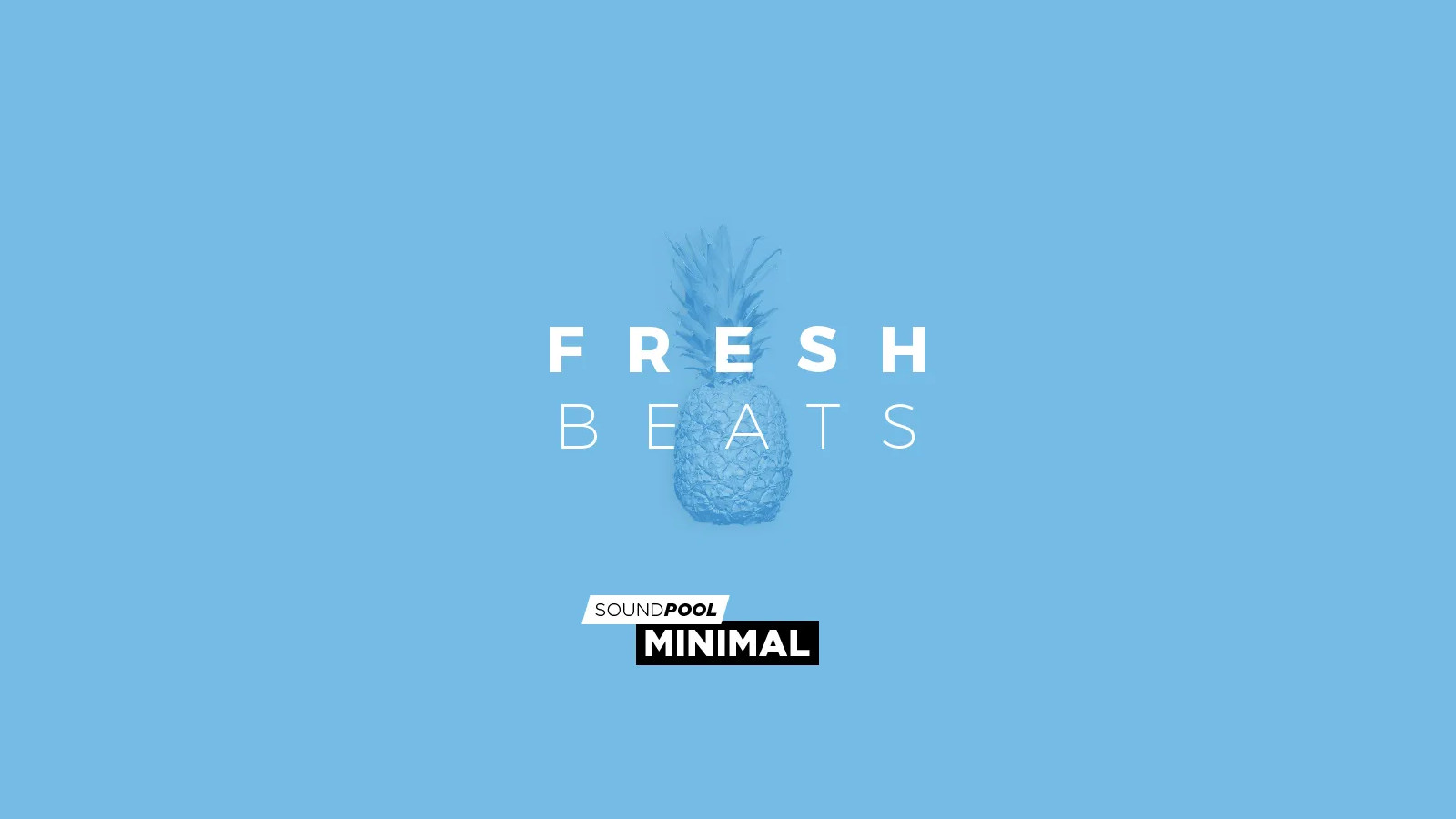 MAGIX Soundpool Fresh Beats ProducerPlanet CD Key