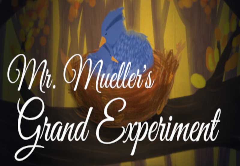 Mr. Mueller's Grand Experiment PC Steam CD Key screenshot 2