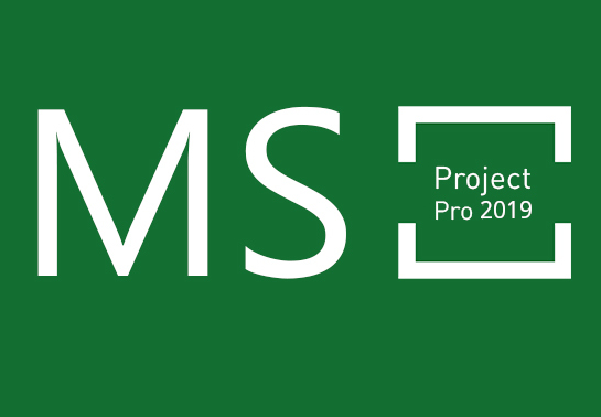 MS Project Professional 2019 CD Key