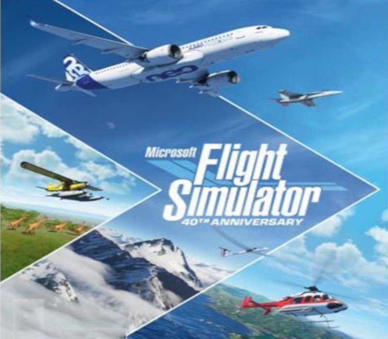 Microsoft Flight Simulator X: Steam Edition: Skychaser Add-On
