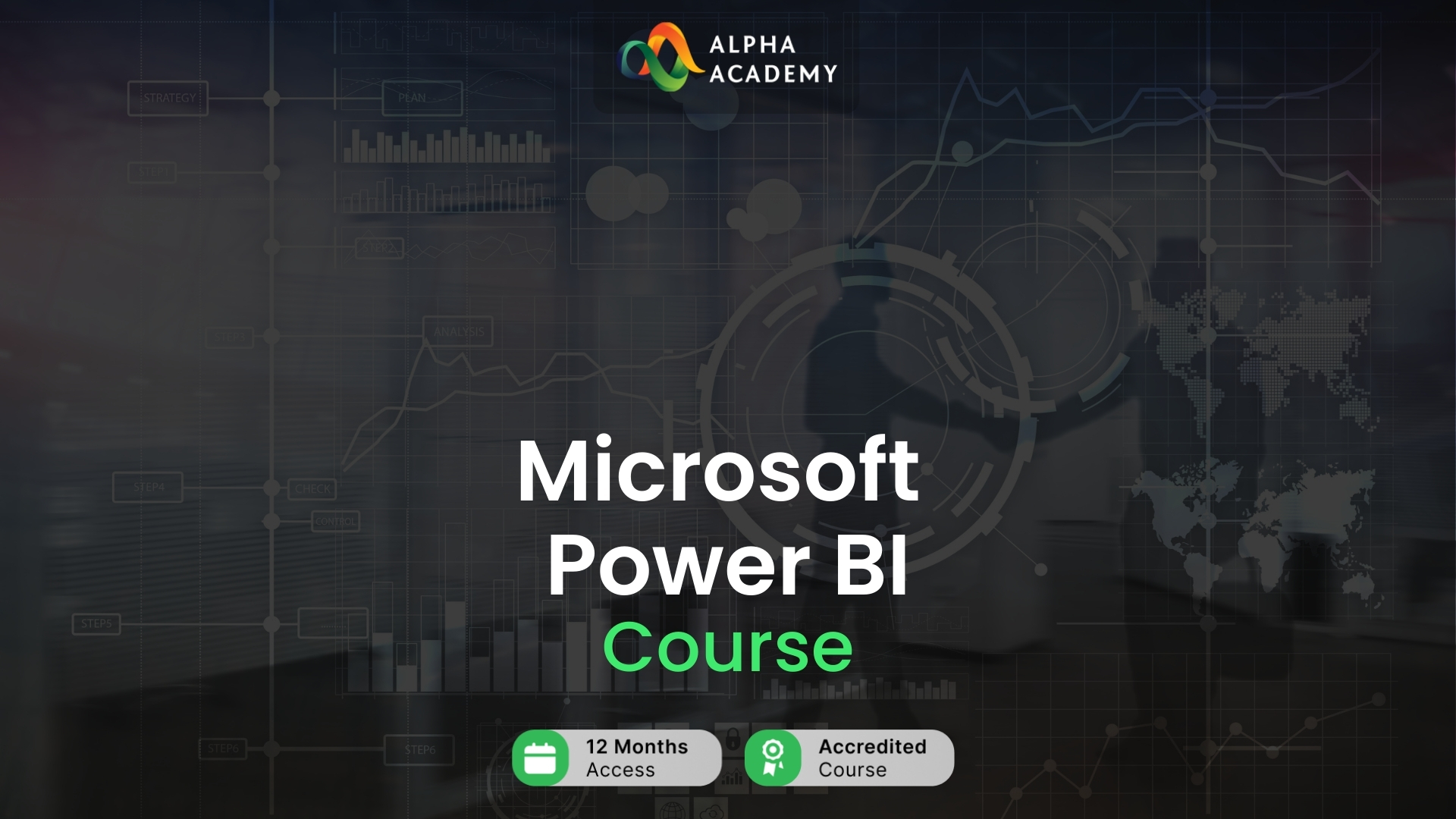 Microsoft Power BI Course Alpha Academy Code