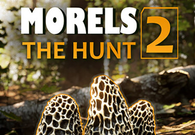 Morels: The Hunt 2 Steam CD Key screenshot 2
