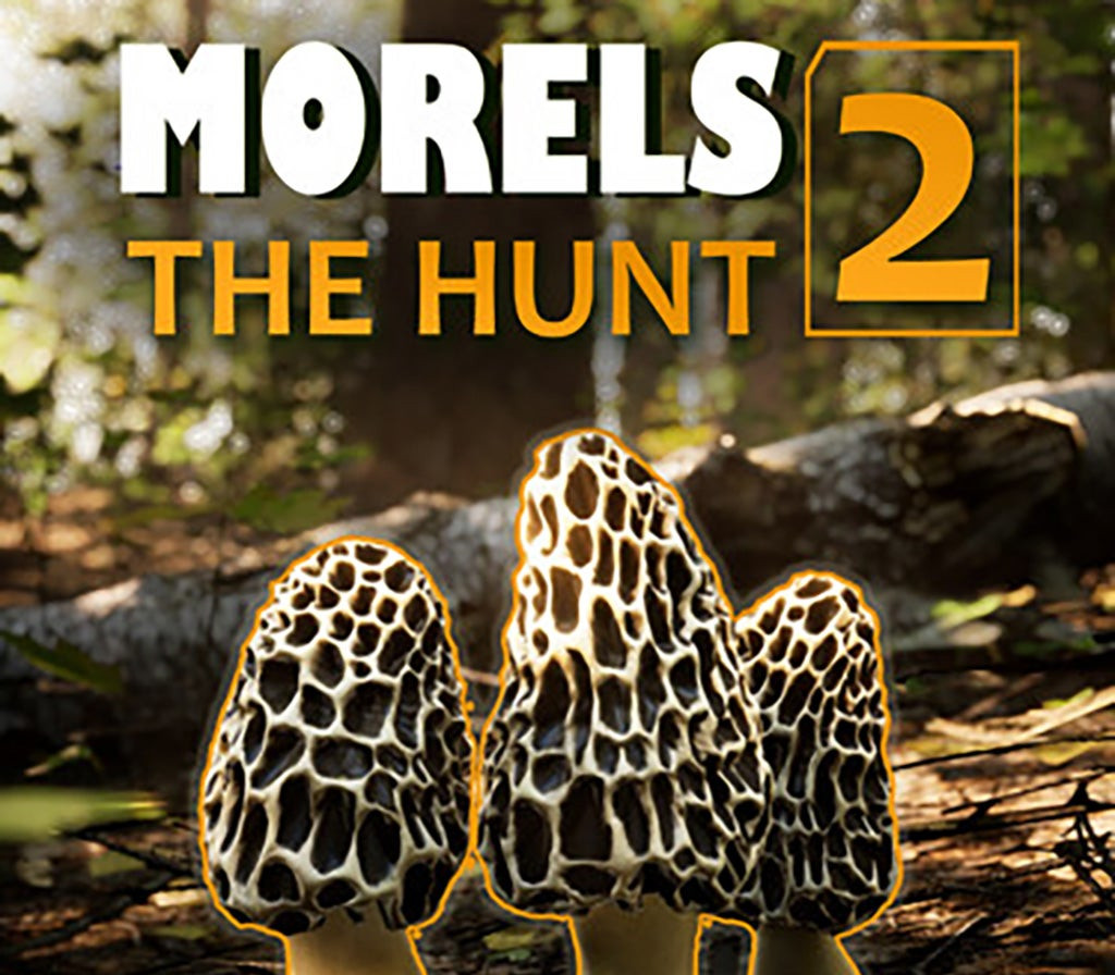 cover Morels: The Hunt 2 Steam