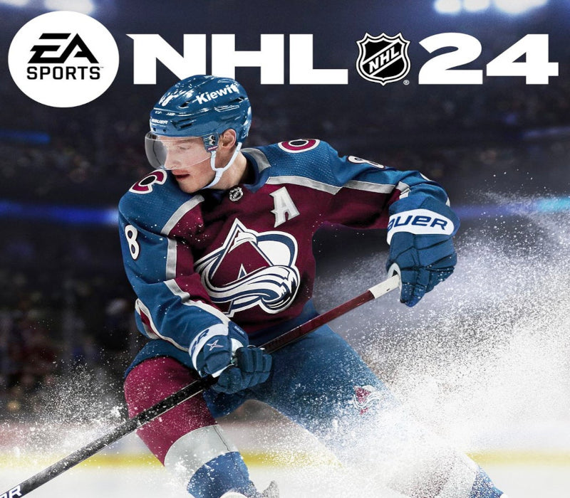 NHL 24 PlayStation 4 Account pixelpuffin.net Activation Link