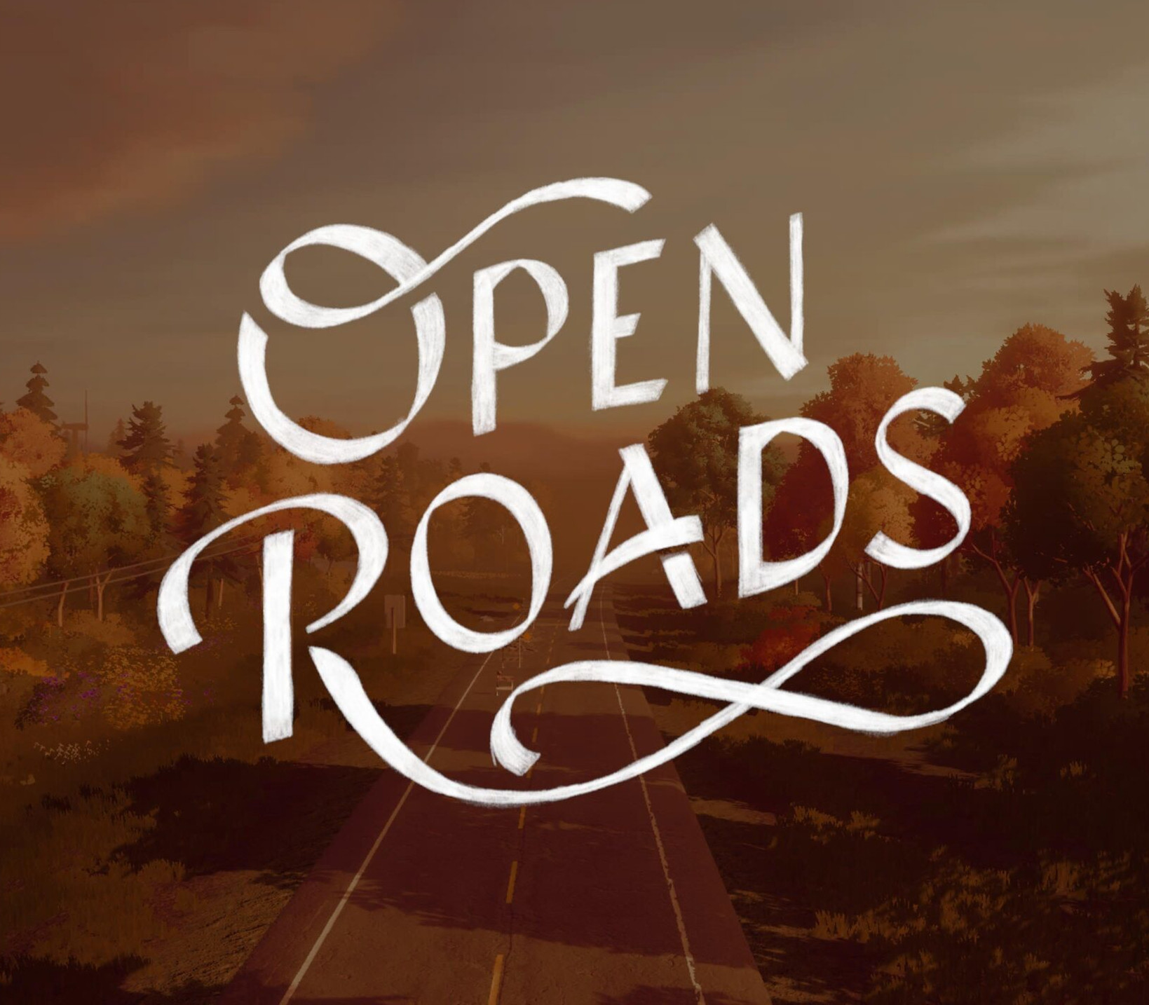 

Open Roads PC Steam CD Key