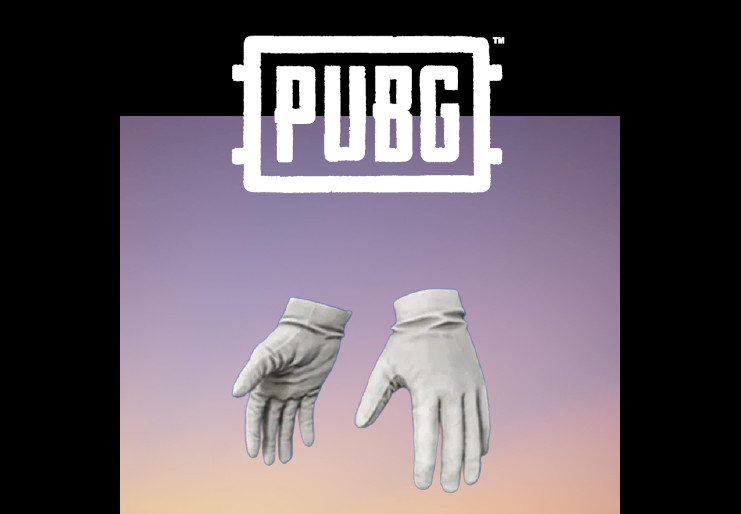 PUBG - Naval Gloves DLC Steam CD Key