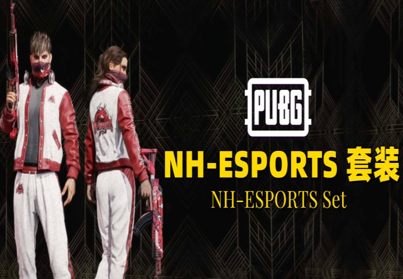 PUBG - NH-ESPORTS Set DLC Digital CD Key screenshot 1