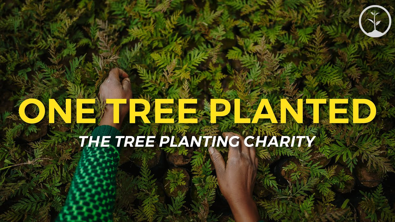 Plant Trees Where Needed Most $10 Gift Card US