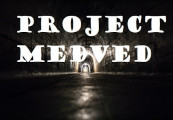 Project Medved Steam CD Key