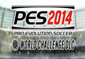 Pro Evolution Soccer 2014 - World Challenge DLC Steam Gift