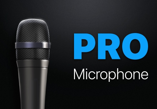Pro Microphone Steam CD Key screenshot 2
