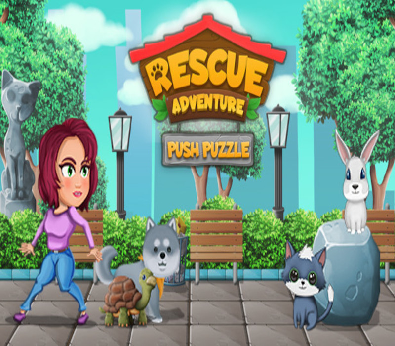 Push Puzzle - Rescue Adventure Steam