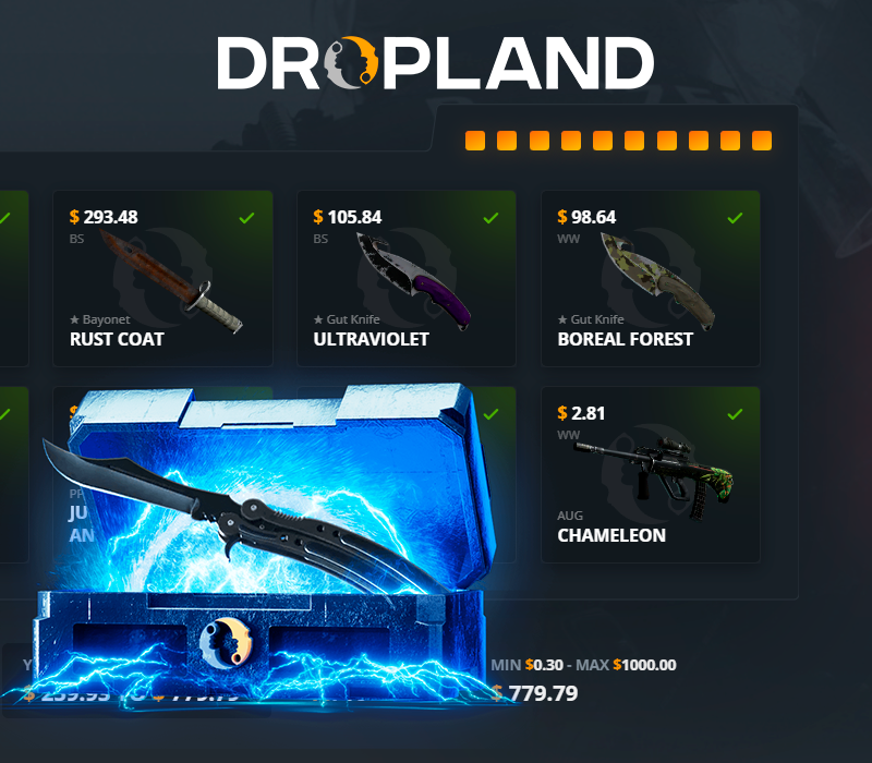 

RESTRICTED VS. BUTTERFLY KNIFE Random CS2 Skin Case Dropland.net Key