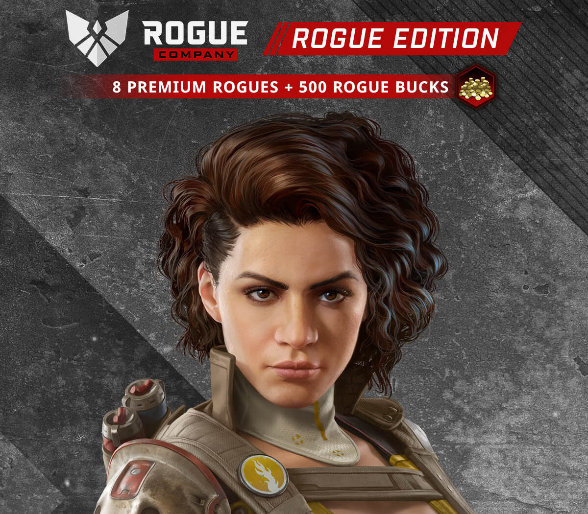 

Rogue Company: Rogue Edition AR XBOX One CD Key