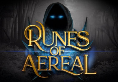 Runes of Aereal PC Steam CD Key screenshot 2