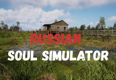 Russian Soul Simulator Steam CD Key screenshot 2