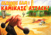 Serious Sam: Kamikaze Attack! Steam CD Key