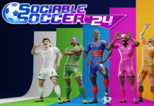 Sociable Soccer 24 Steam CD Key