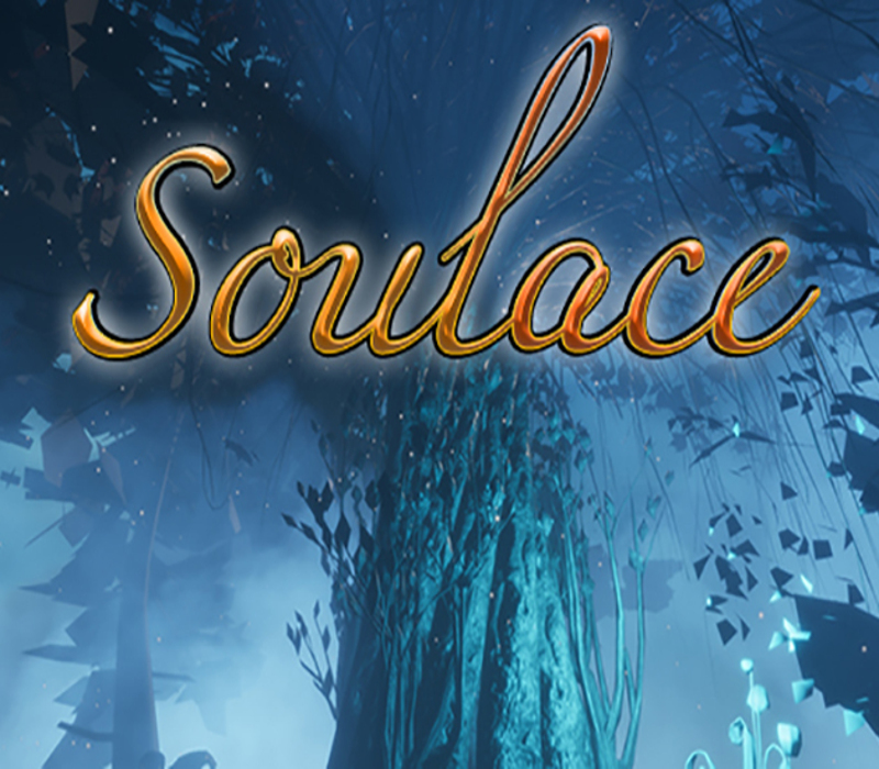 Soulace Steam