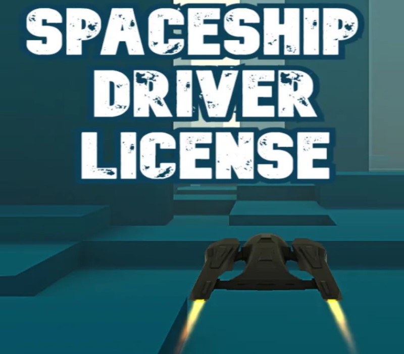 Spaceship Driver License Steam CD Key