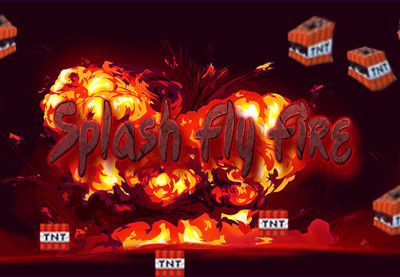 Splash Fly Fire Steam CD Key