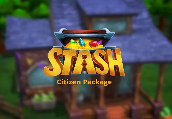 Stash - Citizen Package DLC Steam CD Key