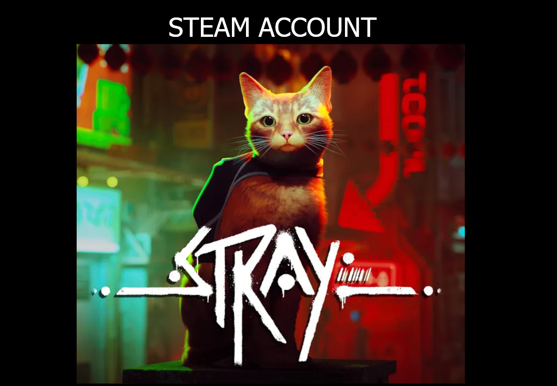 Stray Steam Account