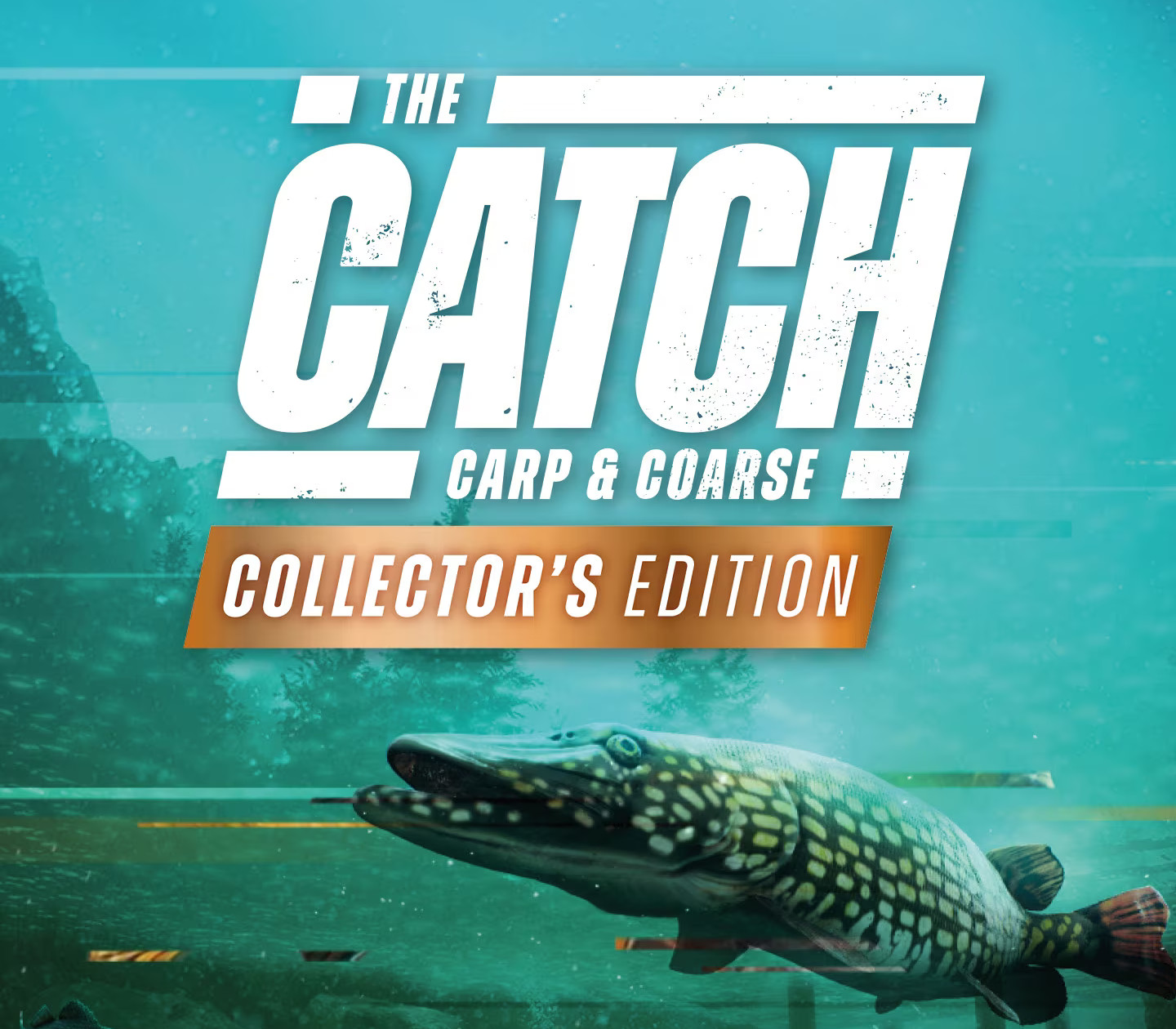 The Catch: Carp & Coarse Fishing Collector's Edition Steam