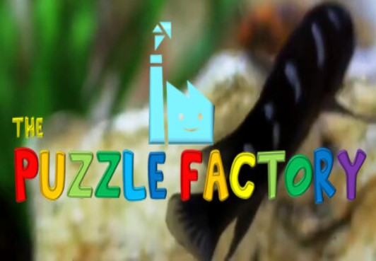 The Puzzle Factory Steam CD Key