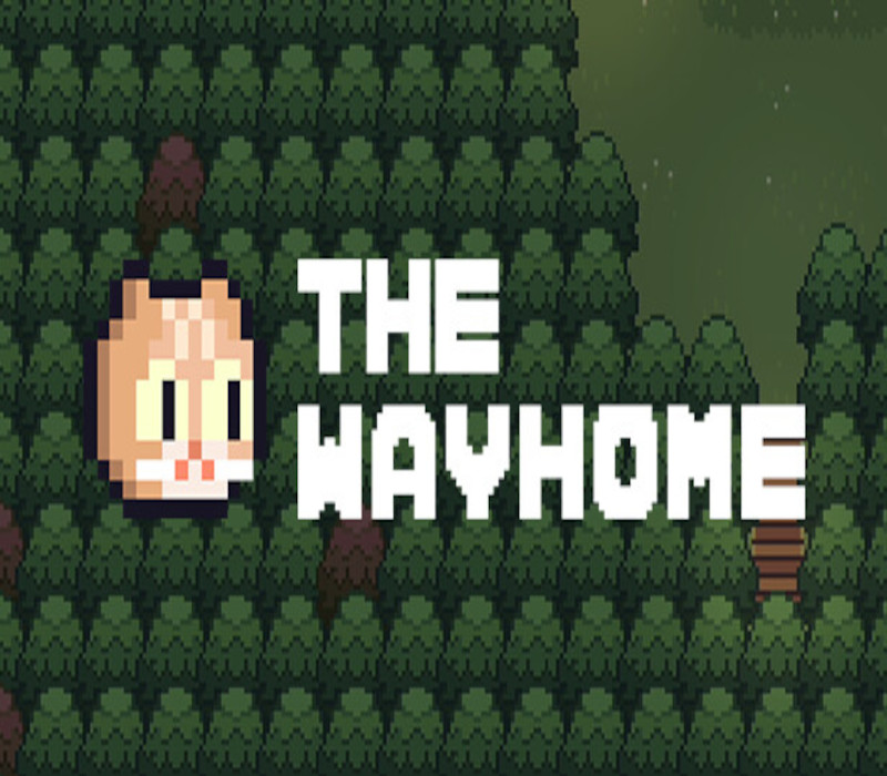 

The Way Home: Pixel Roguelike Steam CD Key