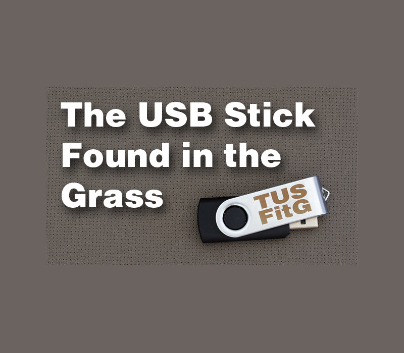 

The USB Stick Found in the Grass EU Steam CD Key