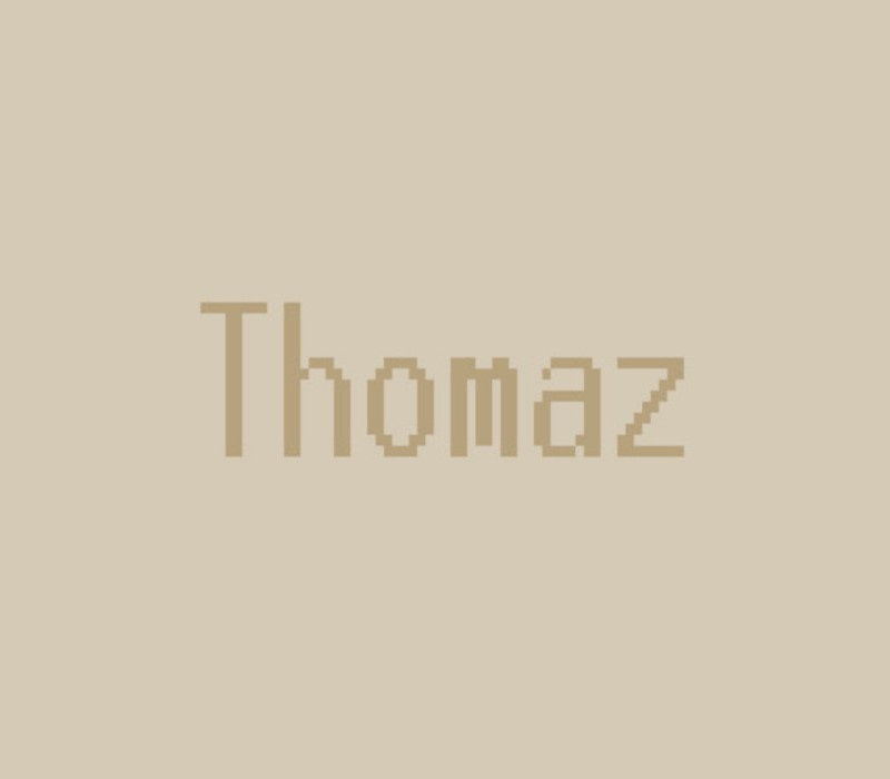 Thomaz Steam