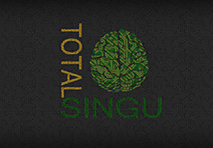 Total Singu Steam CD Key