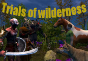 Trials Of Wilderness Steam CD Key