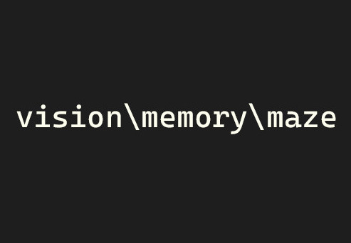 vision\memory\maze Steam CD Key