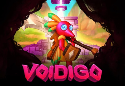 Voidigo PC Steam CD Key