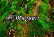 Wigmund - Companion DLC Steam CD Key