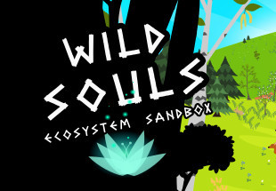 Wild Souls Steam CD Key