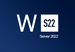Windows Server 2022 CD Key