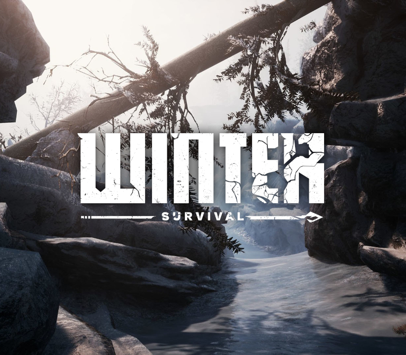 cover Winter Survival Epic Games Account