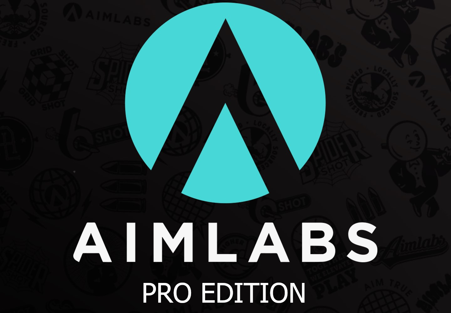 Aimlabs Professional Edition EU Xbox Series X|S CD Key