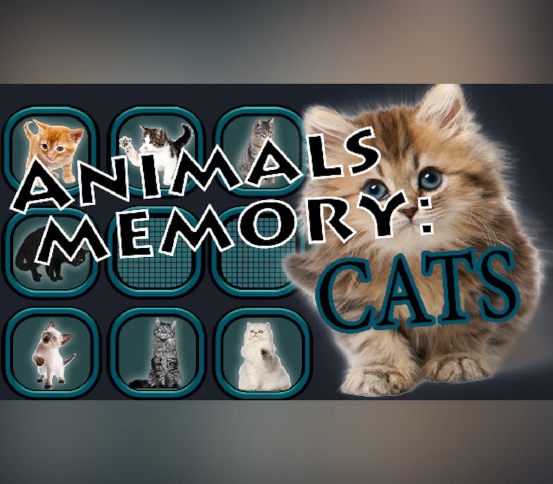 Animals Memory: Cats EU PC Steam CD Key