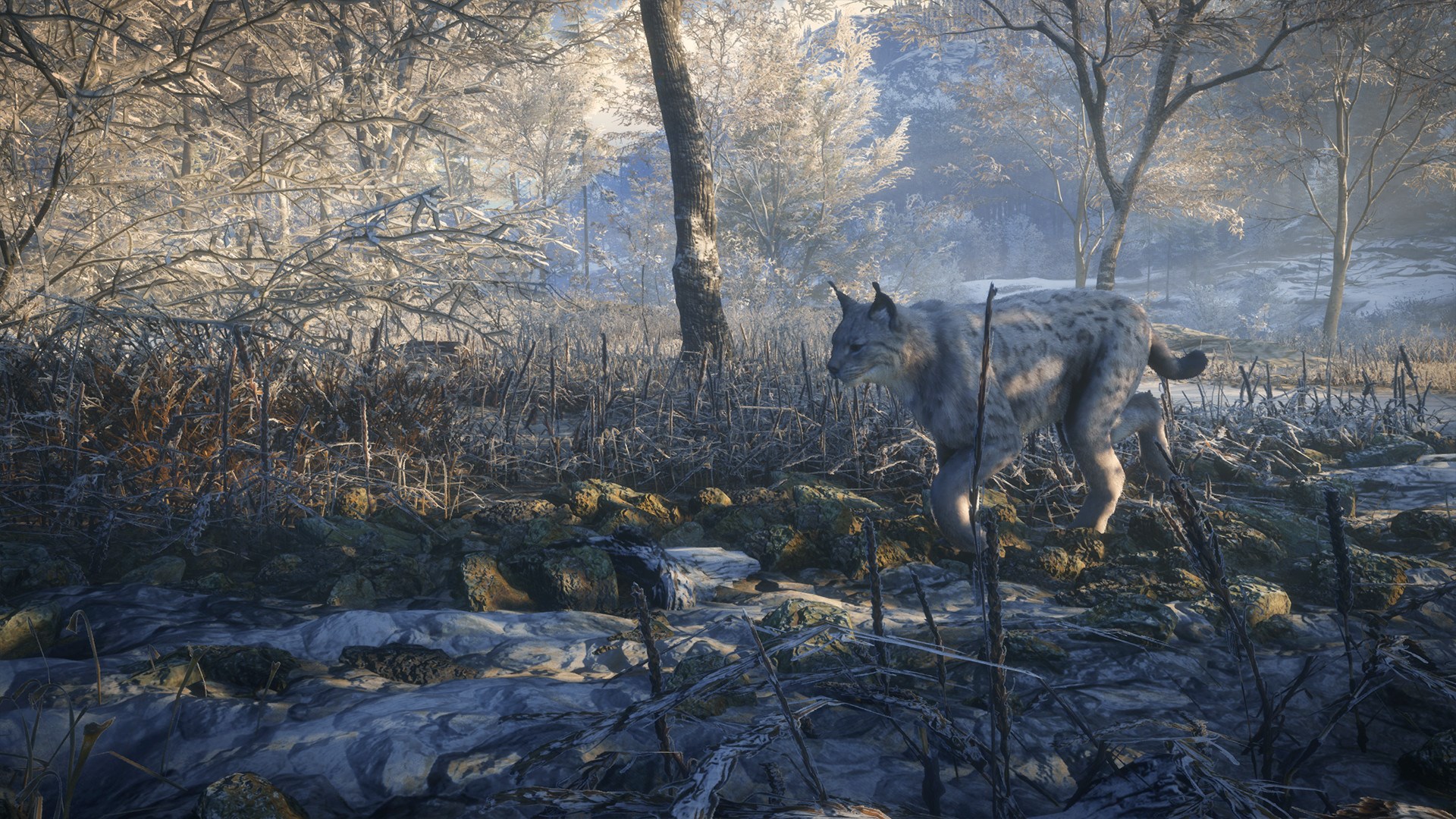 TheHunter: Call Of The Wild Silver Bundle Steam CD Key