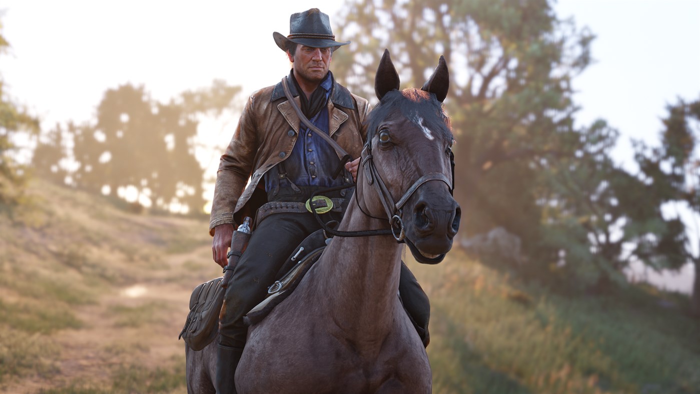 Red Dead Redemption 2 - Story Mode And Ultimate Edition Content AR XBOX One / Xbox Series X,S CD Key