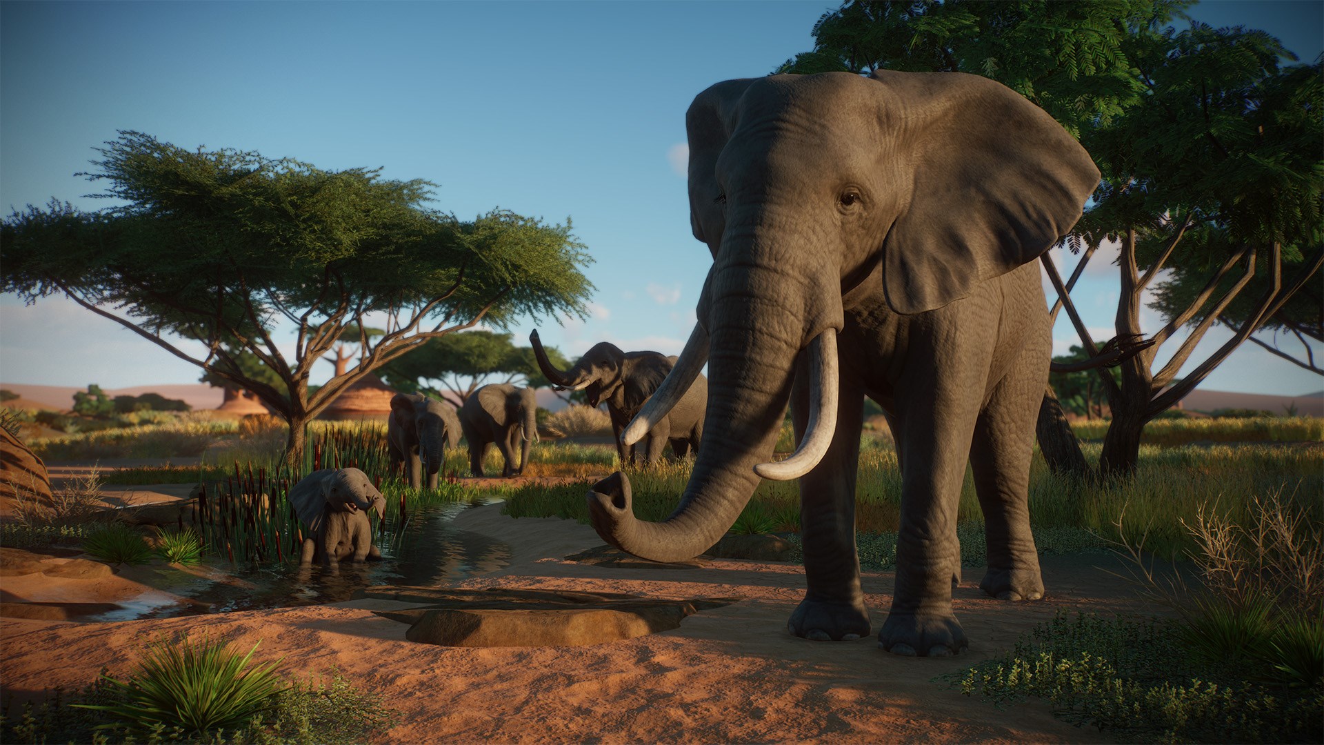 Planet Zoo: Console Edition PlayStation 4 Account