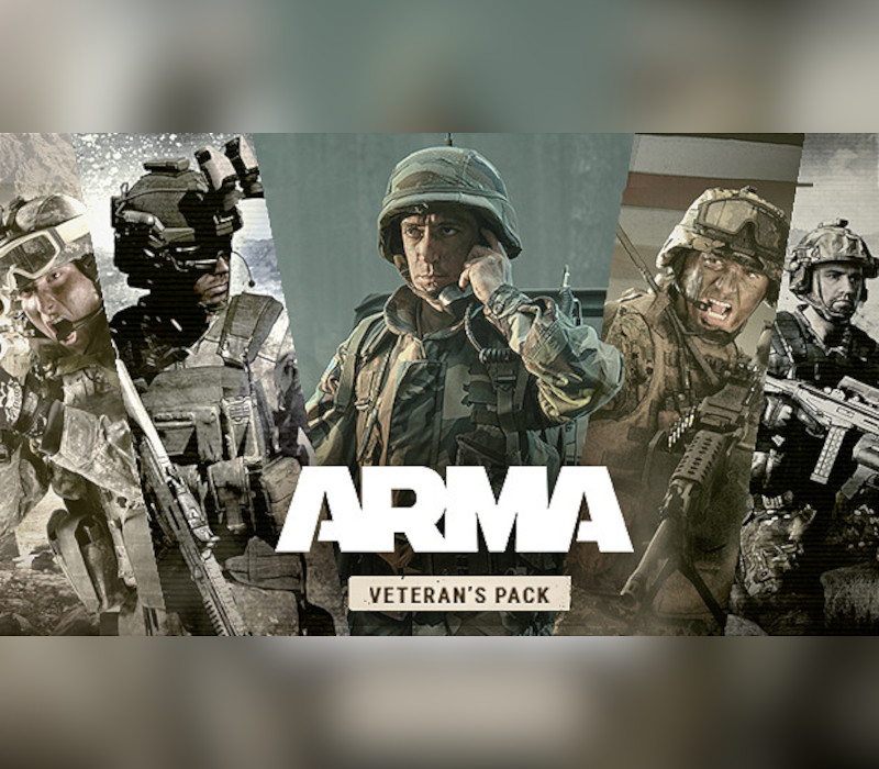 

Arma Veteran's Pack Steam Altergift