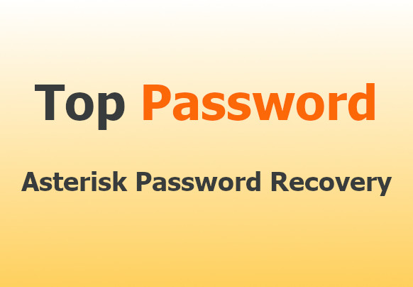 Asterisk Password Recovery Key (Lifetime / 1 PC)