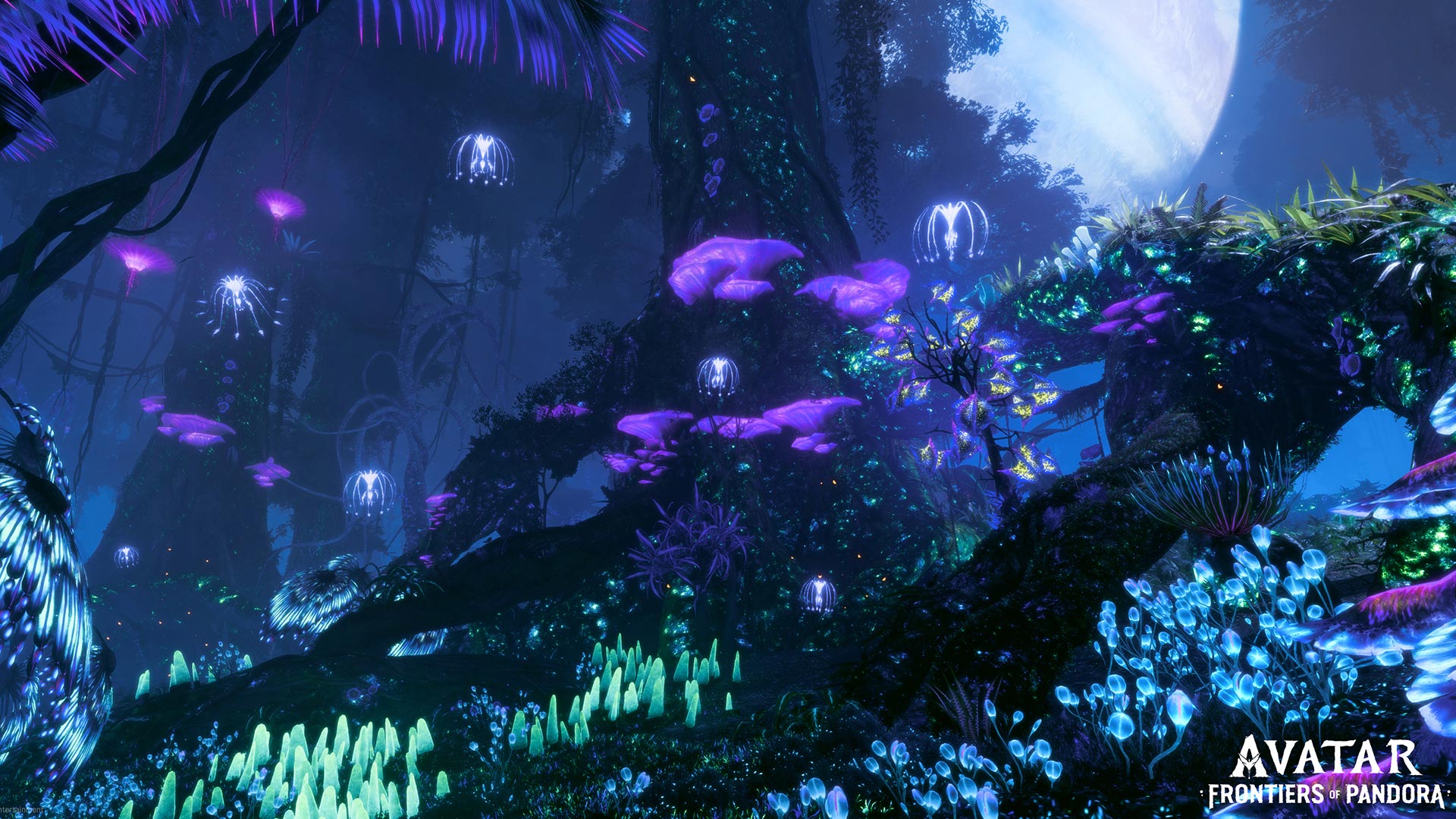 Avatar: Frontiers Of Pandora EU AMD Ubisoft Account